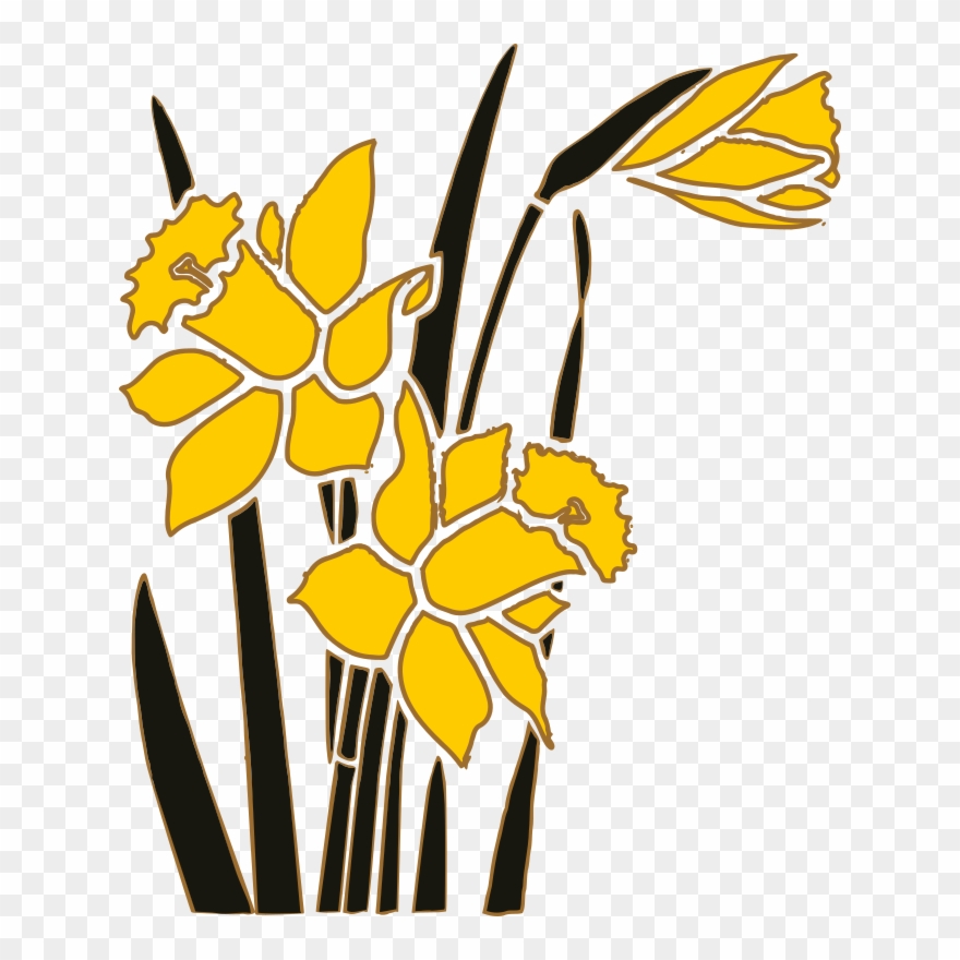 Medium Image - Daffodil Clipart