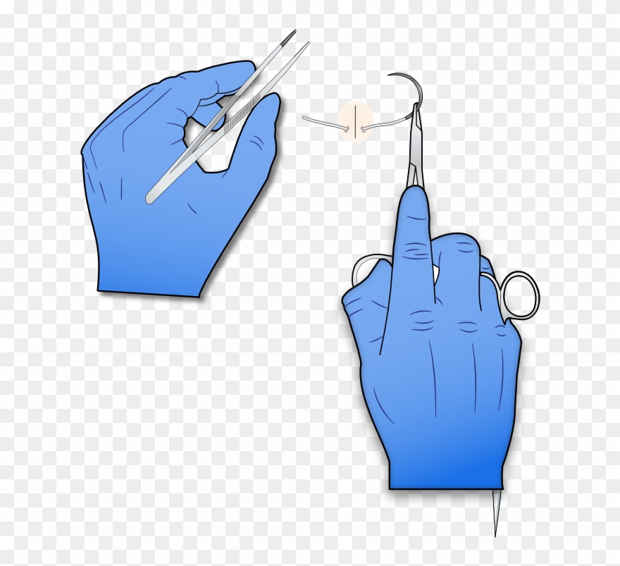 This Will Serve As Your Tail While Tying Down The Knot Clipart