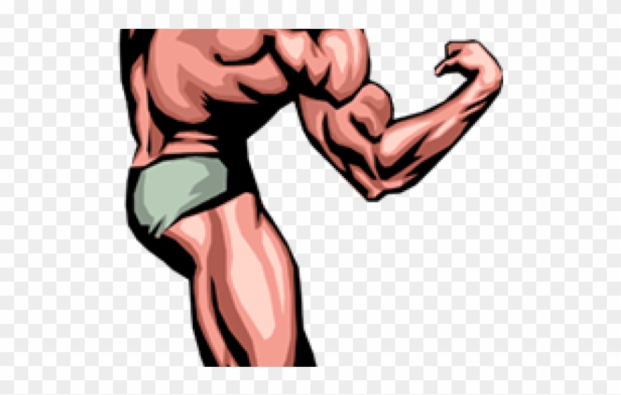 Chest Clipart Muscular Body - Muscle Man Clip Art - Png Download