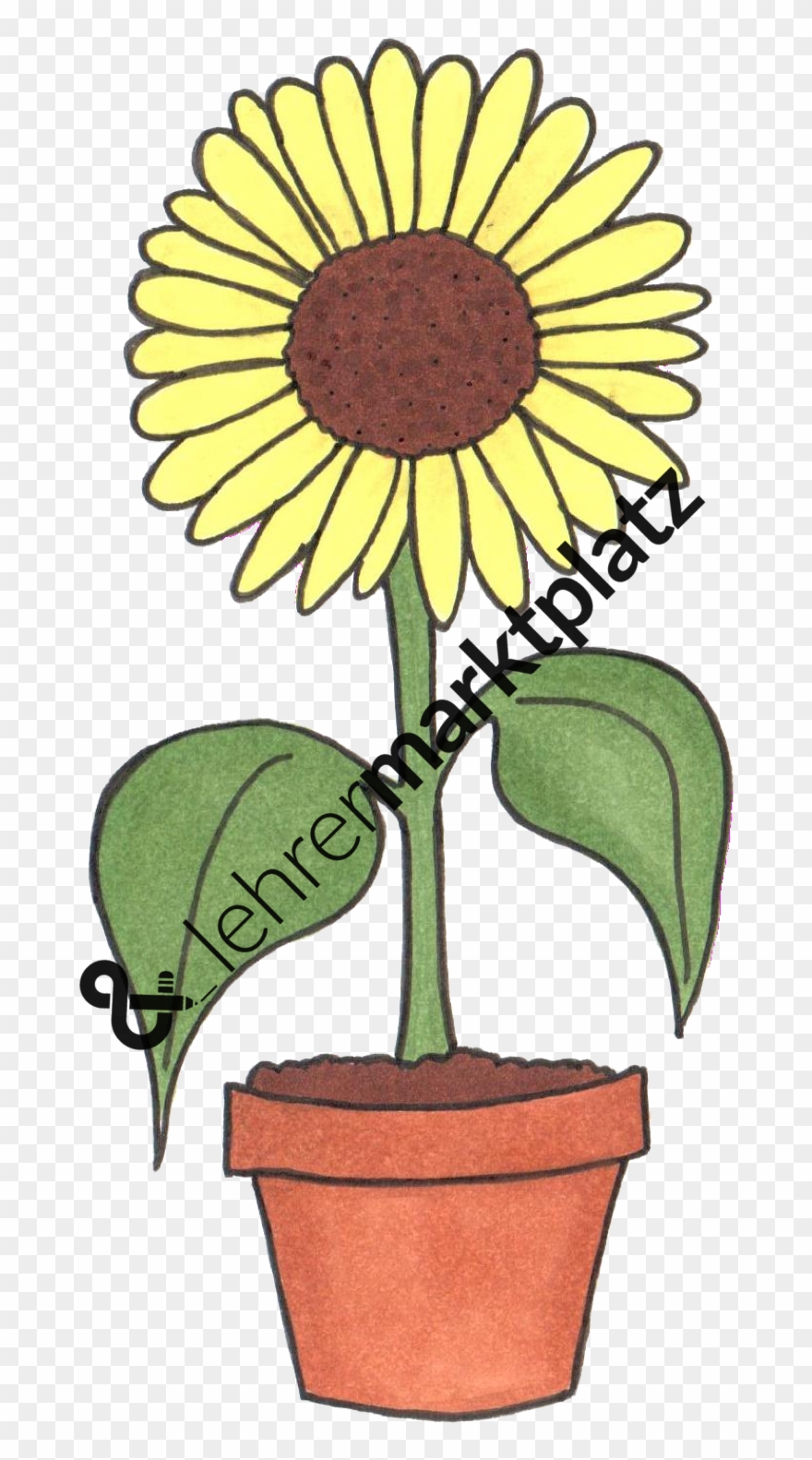 Clip Art Geburtstag - Png Download