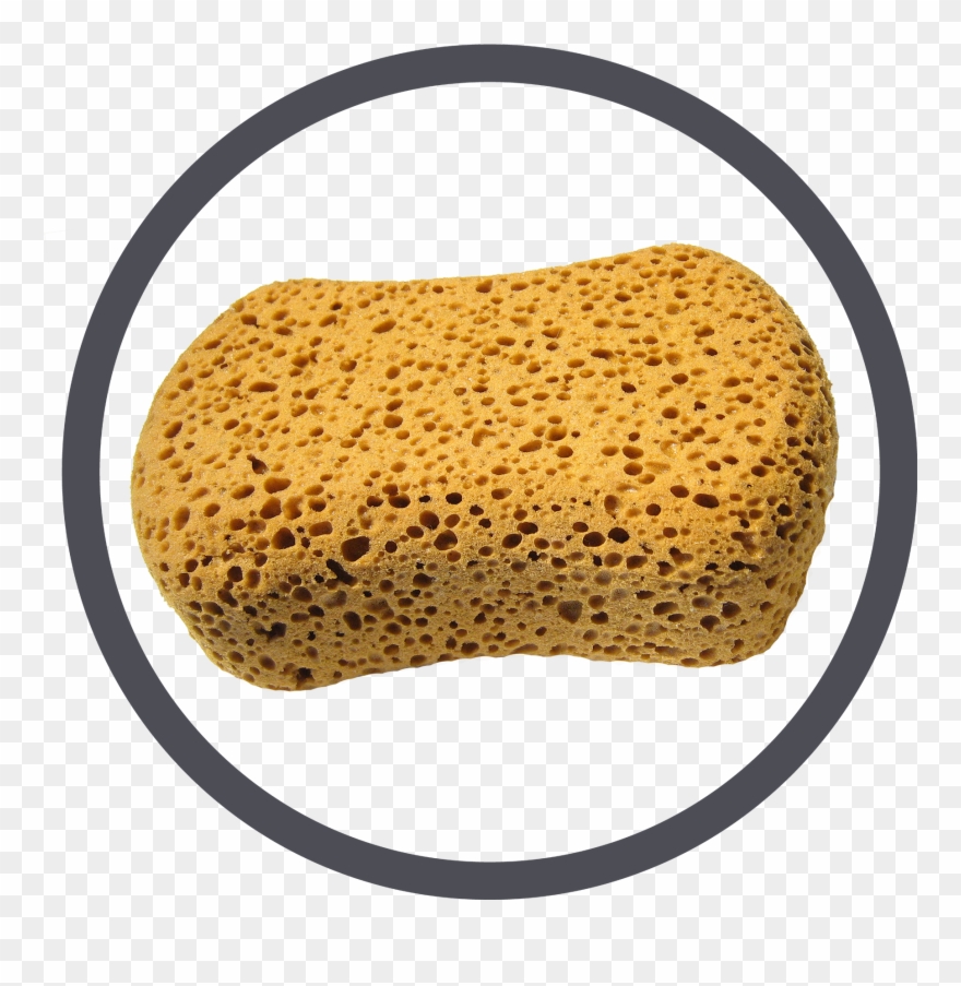 Verficonen Icoon Spo - Sponge Activity Clipart