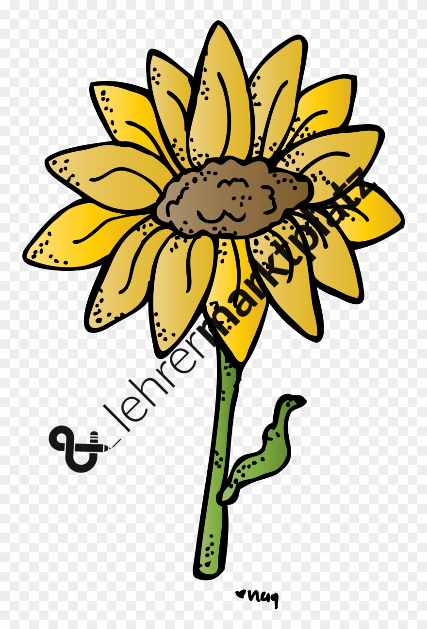 ‹ › - Biology Clipart