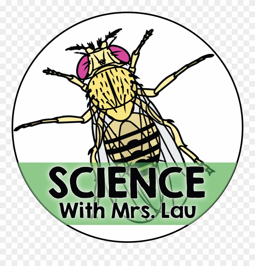 Science Clipart