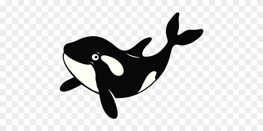 Predatory Fish Clipart