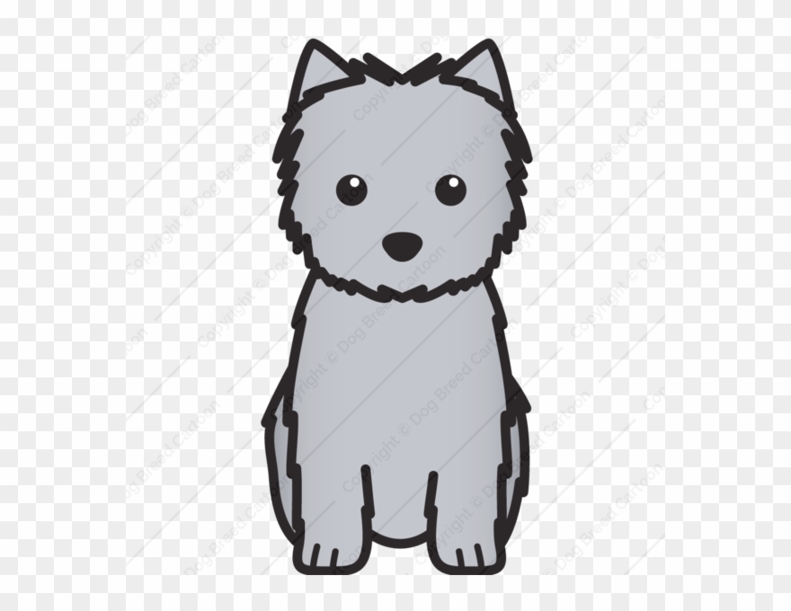 West Highland White Terrier Clipart Cairn Terrier - Cartoon Cairn Terrier - Png Download