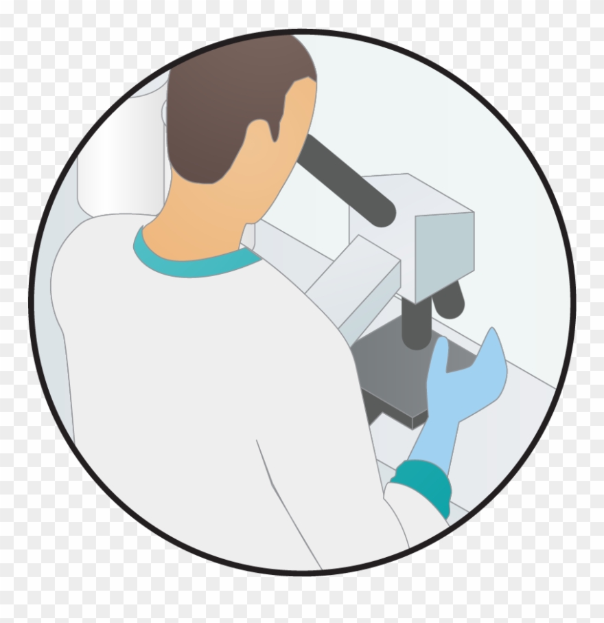 Laboratory Sample Science Clip Art Staff Cliparts - Medical Lab Scientist Clipart - Png Download