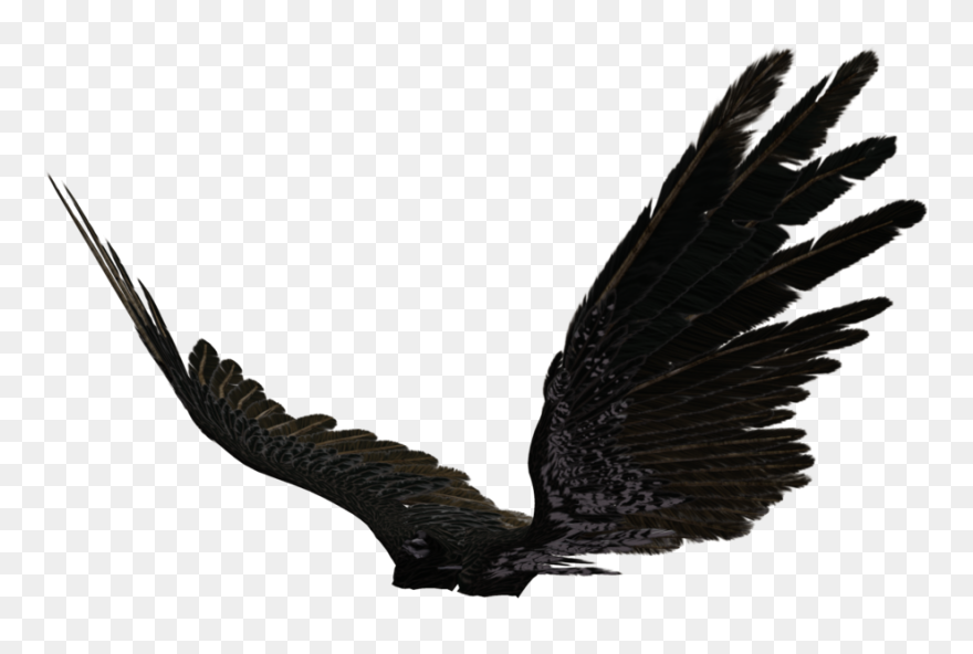 Dark Angel Clipart Transparent - Black Angel Wings Side View - Png Download