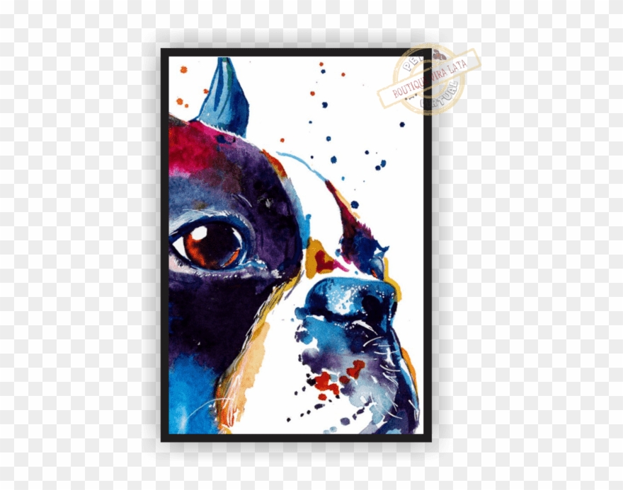 Pôster "bulldog Color" - Boston Terrier Painting Arts Clipart