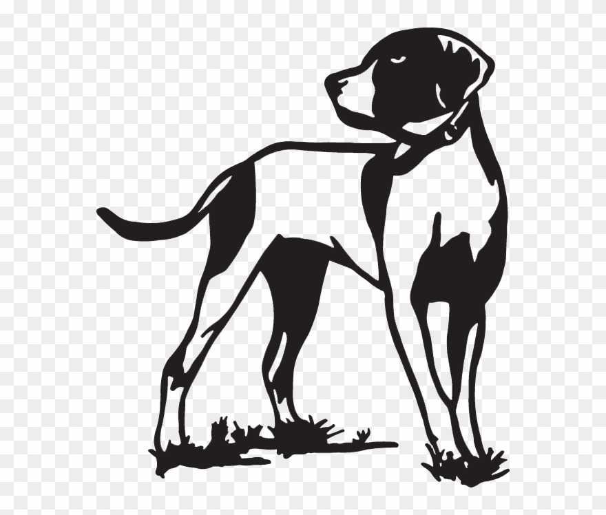 Bird Dog Decal Png Dog Decal - Bird Dog Drawing Clipart