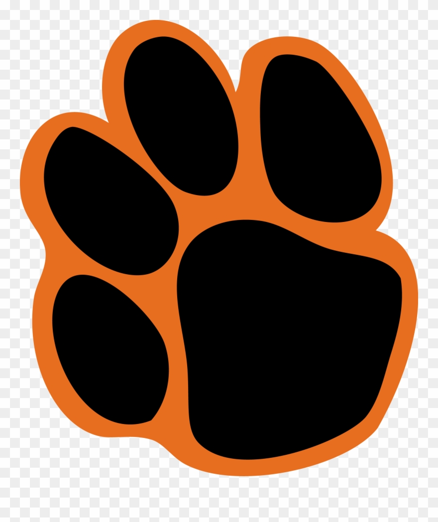 Tiger Print Clipart University Pacific - University Of The Pacific - Png Download