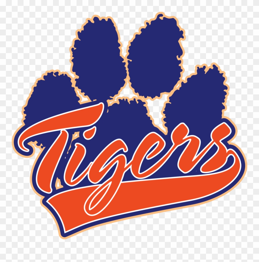 Tiger Clipart Baseball - Daniel Hand High School Logo - Png Download
