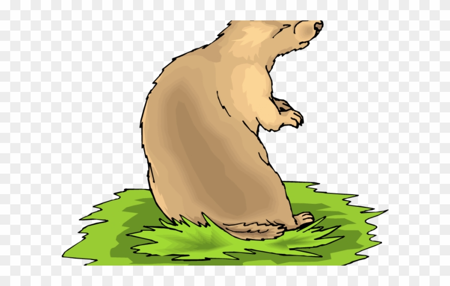 Prairie Dog Clipart Transparent - Free Prairie Dog Clip Art - Png Download