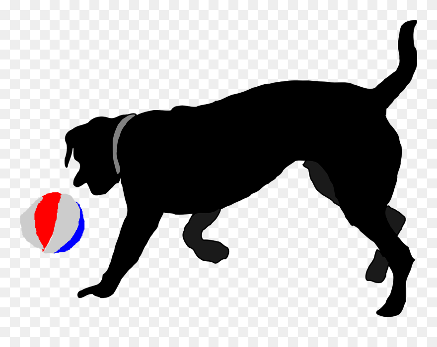 Clipart Info - Dog Chasing Ball Clipart - Png Download