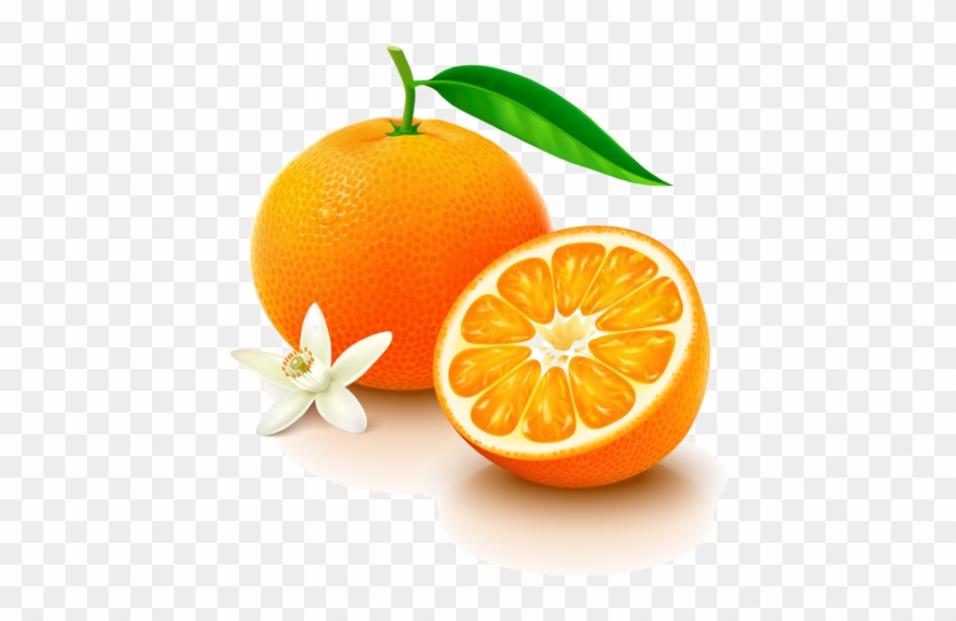 Clip Art - Orange Vitamin C Png Transparent Png
