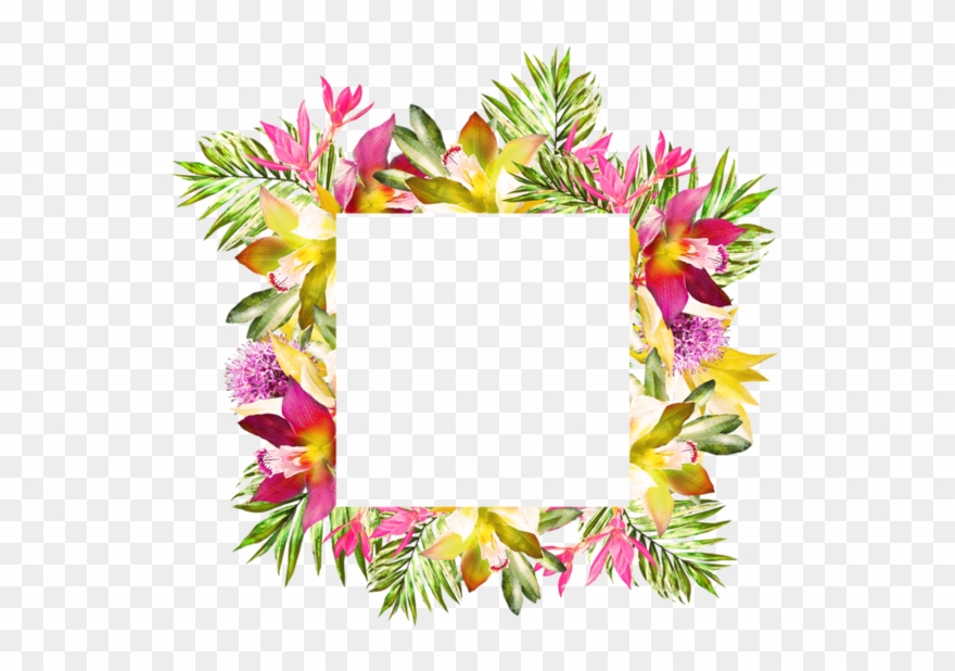 Portable Network Graphics Clipart