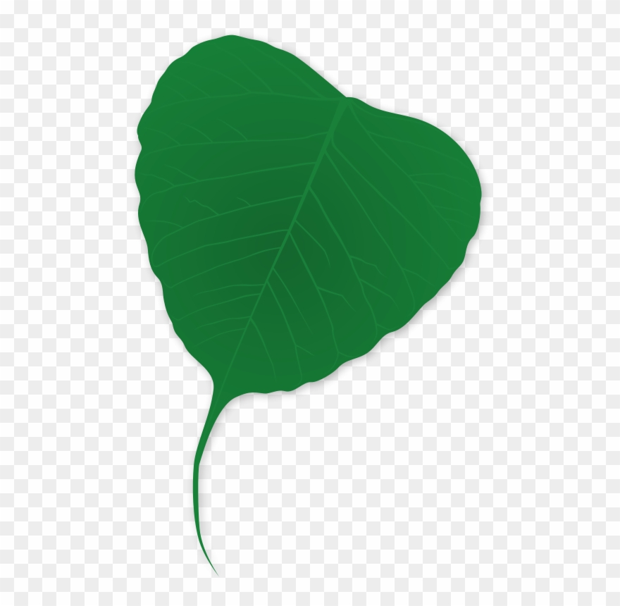 Ginko Leaf - Clip Art - Png Download