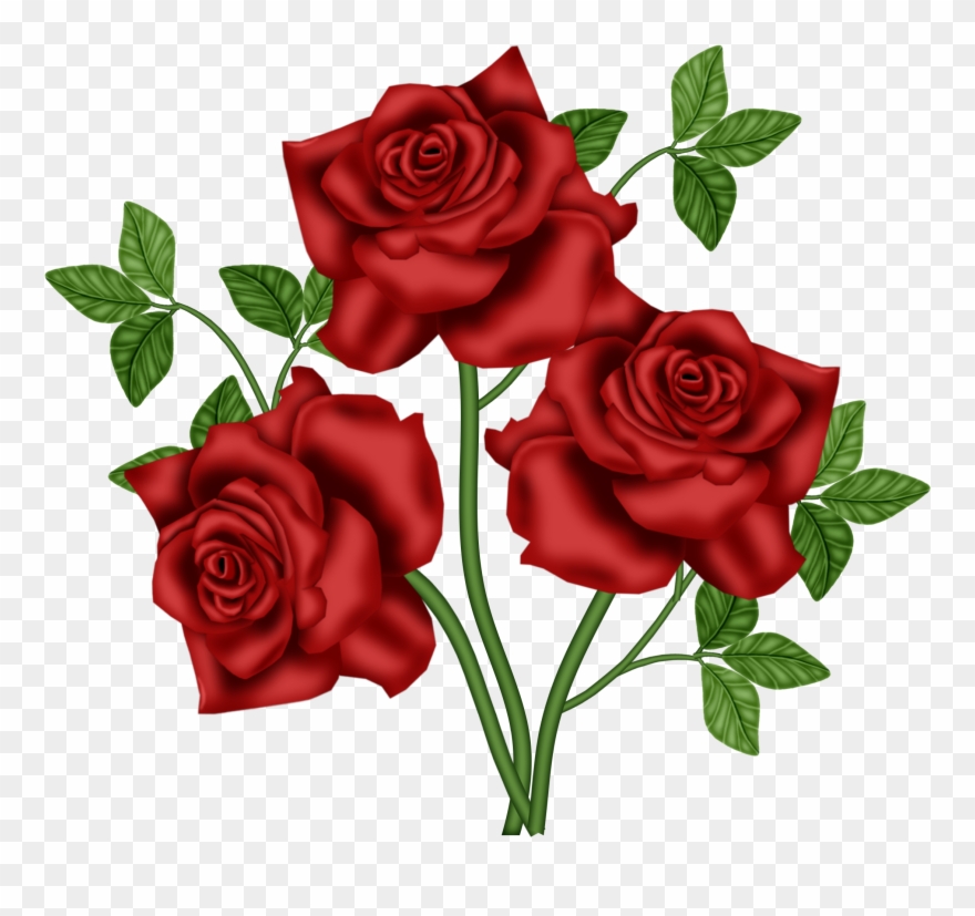 Ggs Roses - Floribunda Clipart