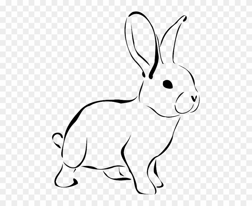 Imagen Gratis En Pixabay - Rabbit Black And White Clipart