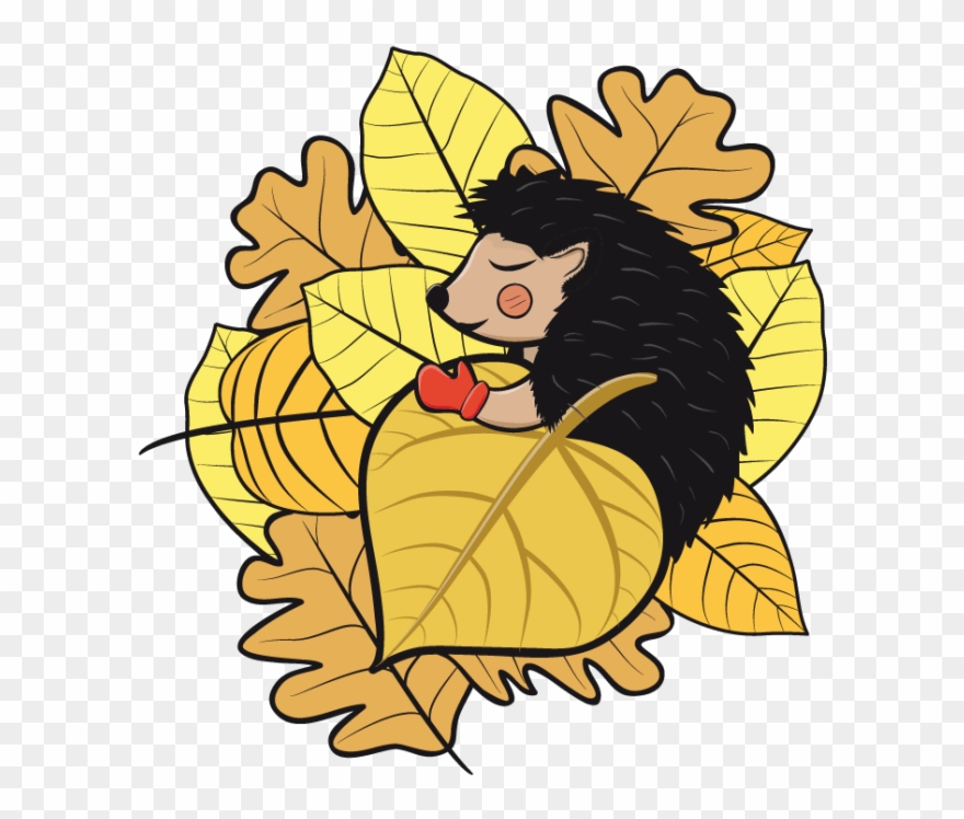 Hedgehog - Educational Cartoon - Hedgehog Hibernating Clipart - Png Download