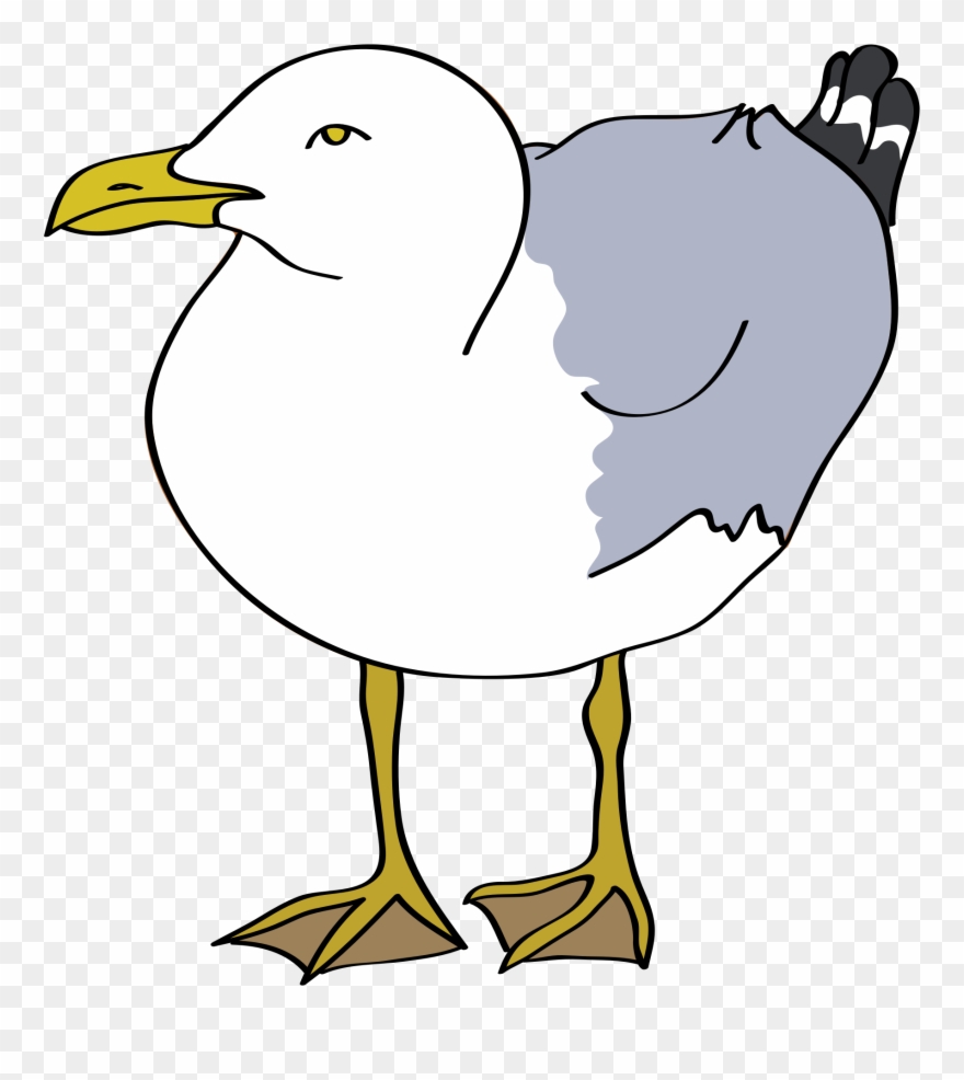 Big Image - Gull Clip Art - Png Download