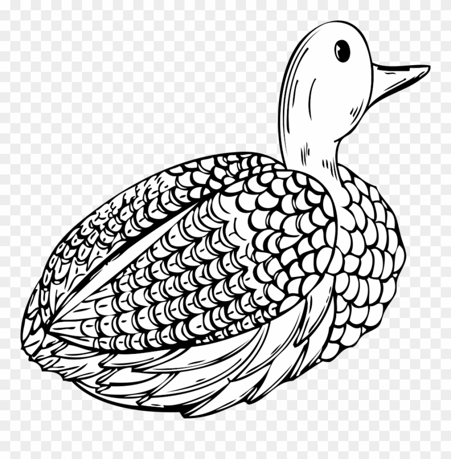 Animals, Birds, Duck, Decoy, Animal, Bird, Tool, Wings - Duck Clipart