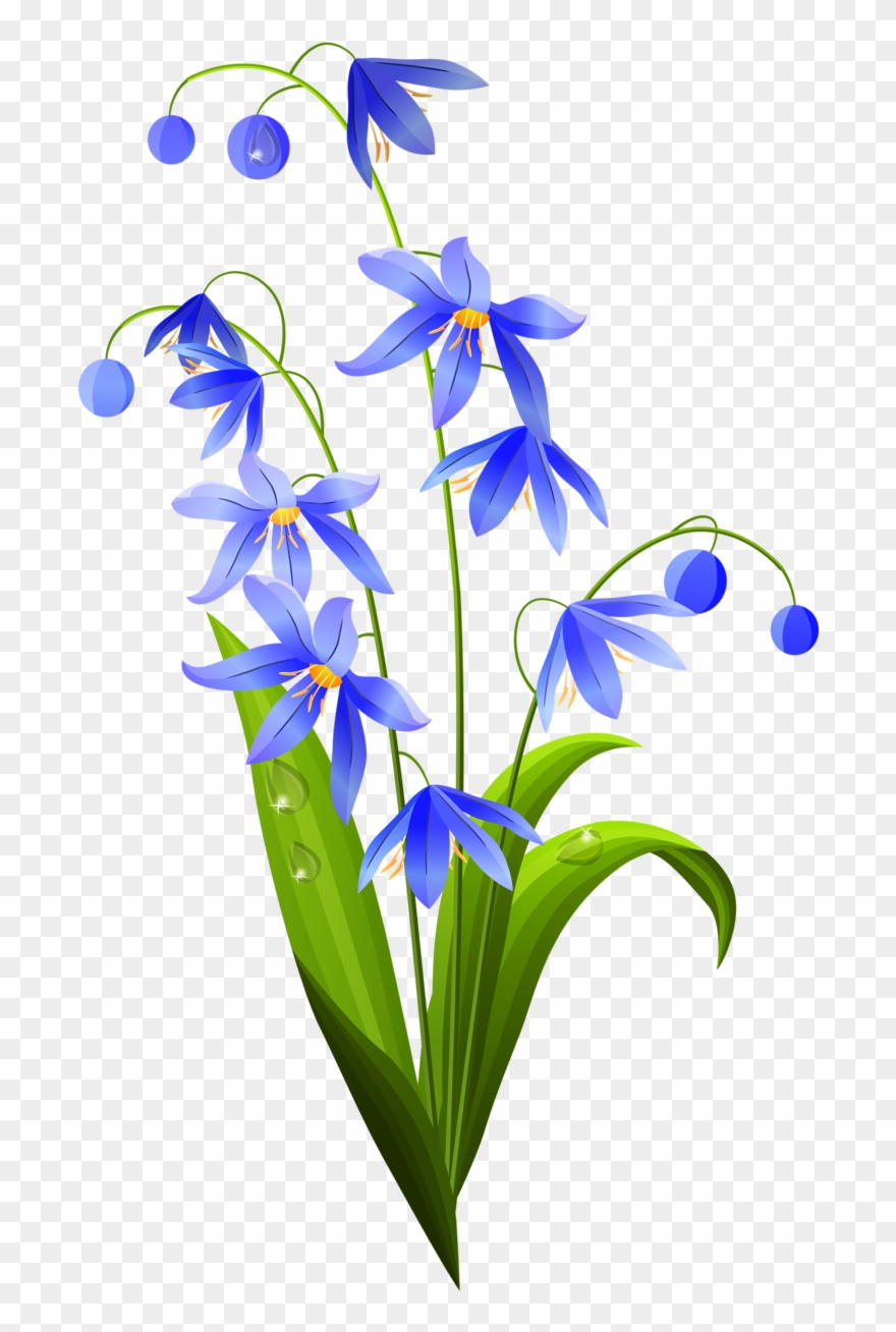 Album - Flowers Vector Clipart