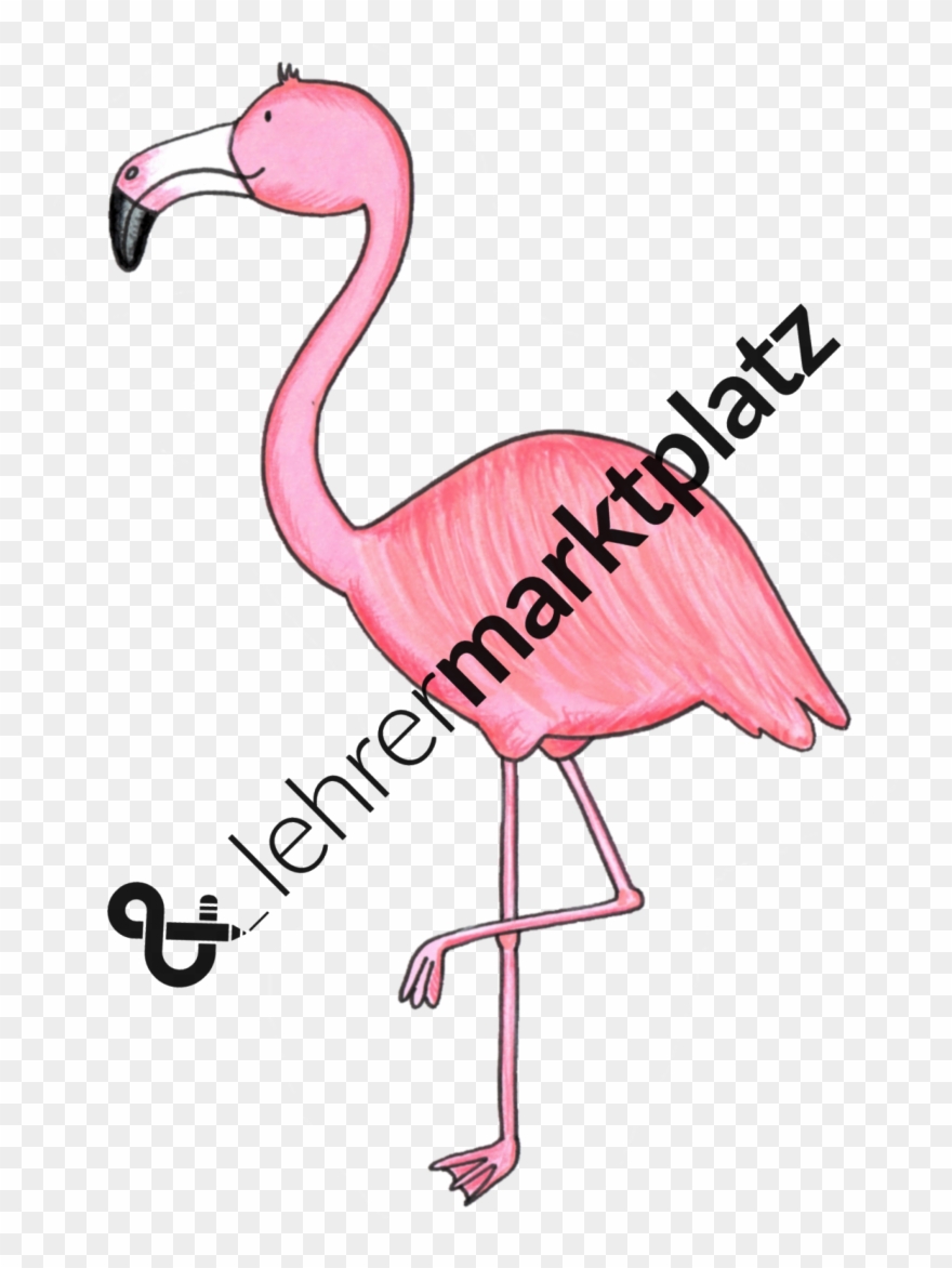 ‹ › - Greater Flamingo Clipart