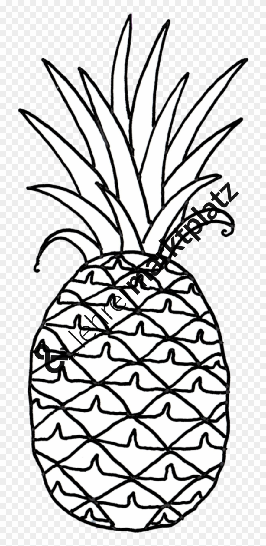 ‹ › - Line Art Clipart