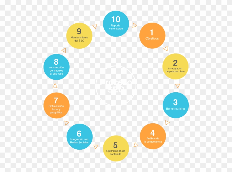 Fases Del Seo - Ecosystem Clipart