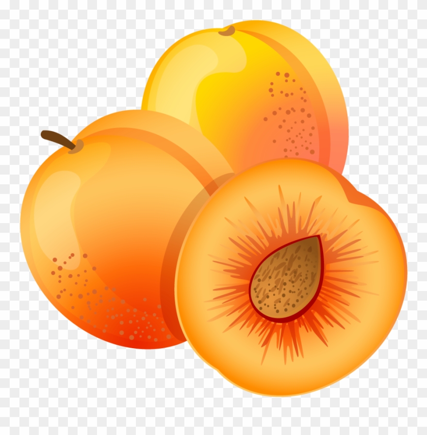 Apricot Clipart - Png Download