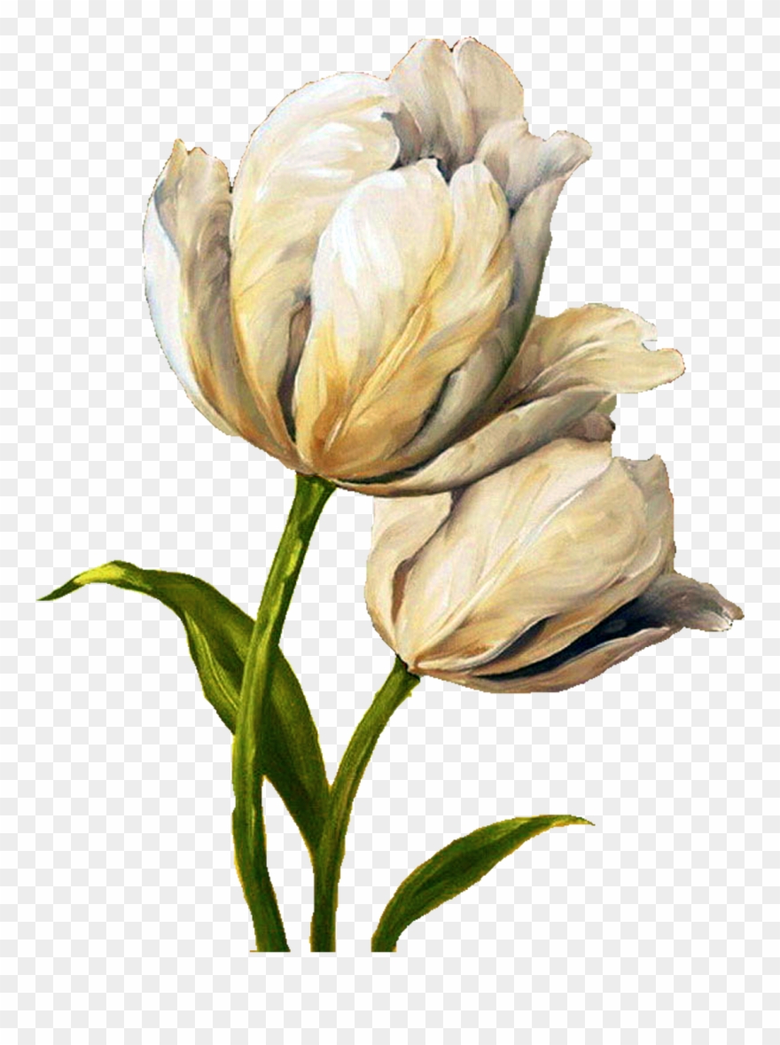 Pin By Debbie Ostrowski Barton On Art ~ Lisa Audit - Canvas Flowers Painting Clipart