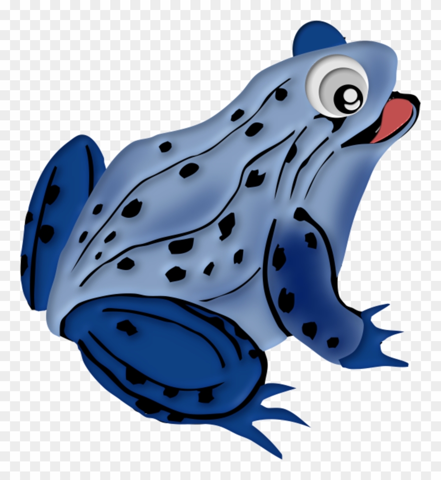 Grenouille13m2 Toad, Frogs, Art Drawings, Photoshop, - Frog Clipart