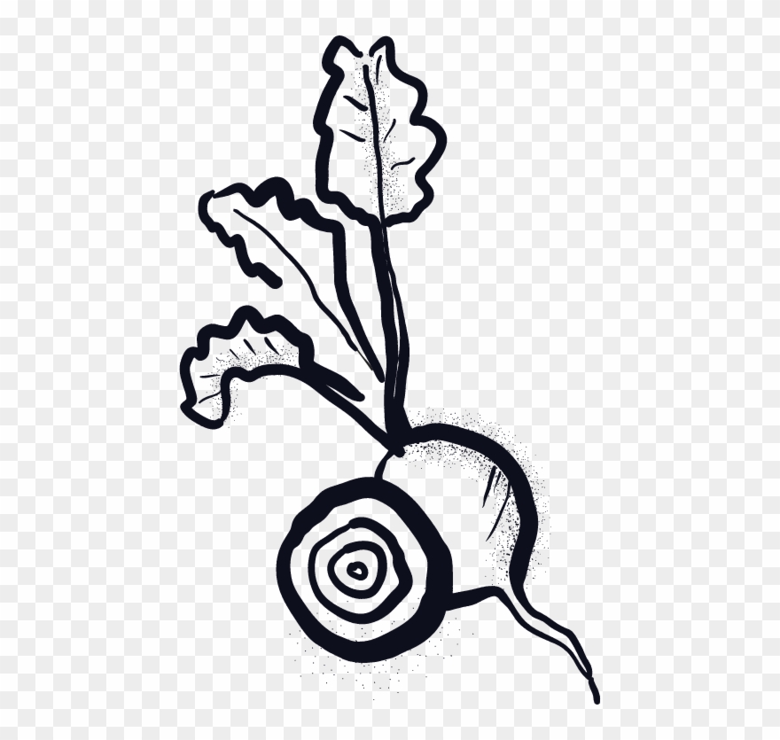 Meet The Bacteria Baristas Behind Edible Alchemy - Illustration Clipart