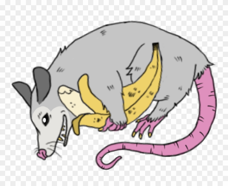 Theey Much Liiike The Bananaaa Hungryyyyyy Trashcats - Illustration Clipart