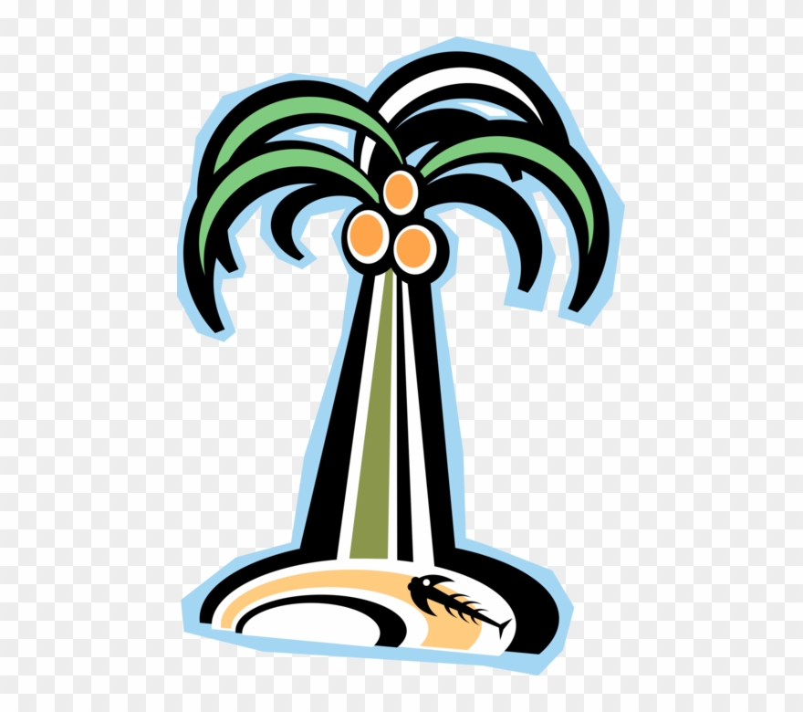 Vector Illustration Of Arecaceae Palm Tree On Tropical Clipart