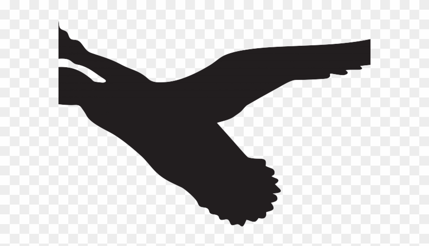 Wood Duck Clipart Flying Art - Silueta Pato Volando - Png Download