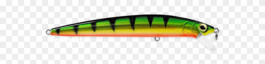 Phantom Lures, Inc - Fish Clipart