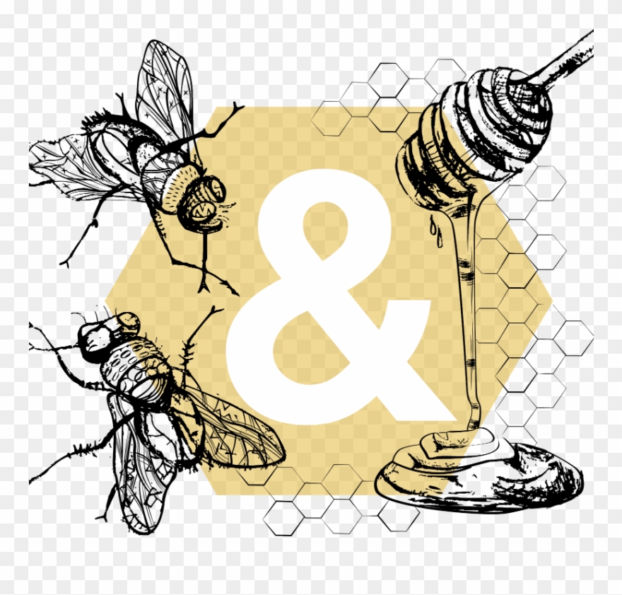 Flies And Honey Hair Clipart