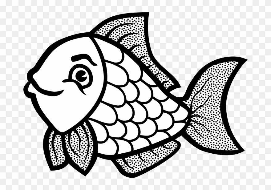 Clip Art Colourful Fish - Png Download