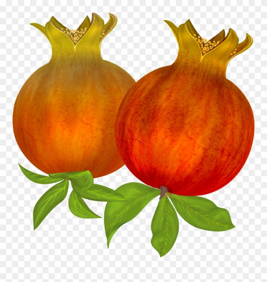 Image Stock Free Pomegranates Png Graphics Pinterest - Natural Foods Clipart