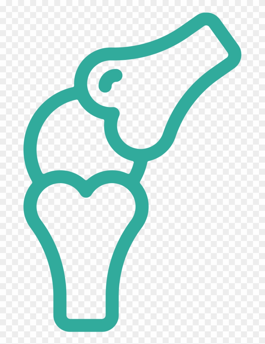 Bone Health - Ortopedia Png Clipart