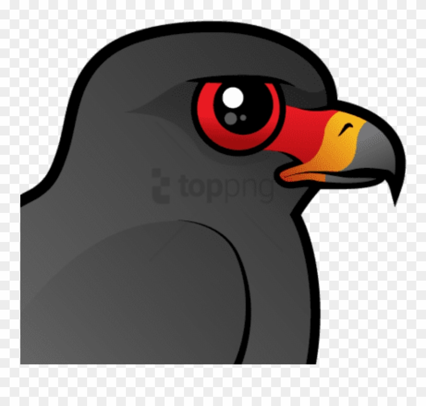 Free Png About The Snail Kite - Snail Kite Cartoon Clipart