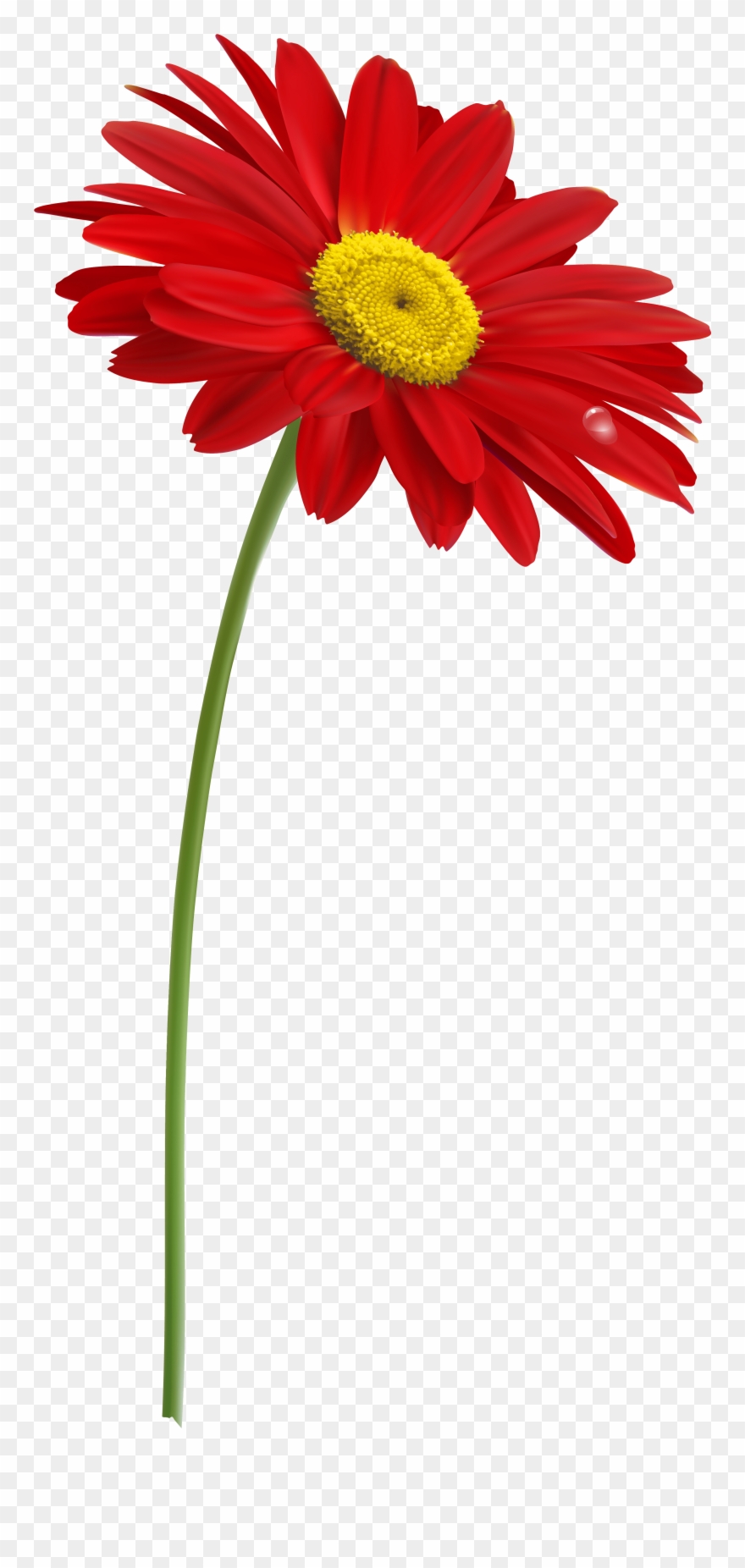 Stem Flower Clip Art With Transparent Background - One Red Flower Clipart - Png Download