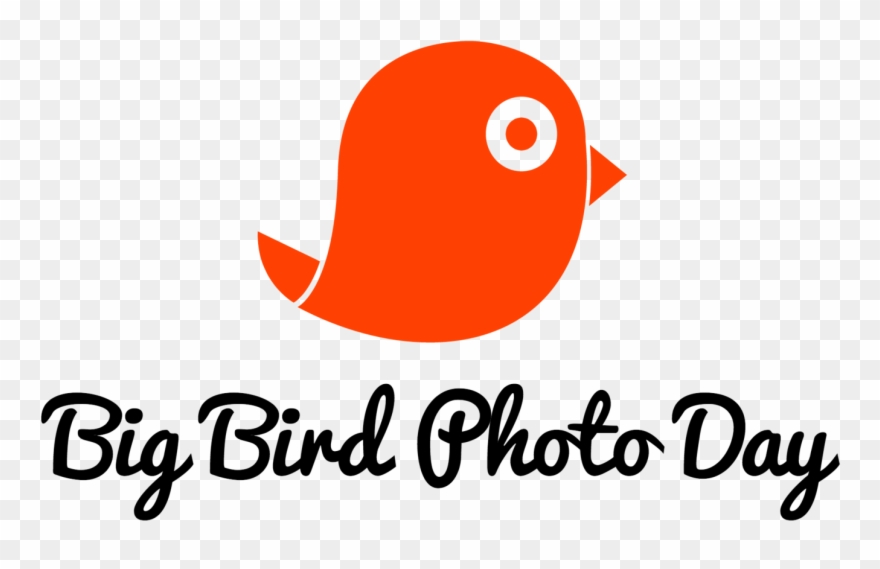 Announcing The Clipart