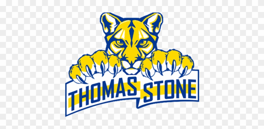 Thomas Stone Cougars - Thomas Stone High School Logo Clipart