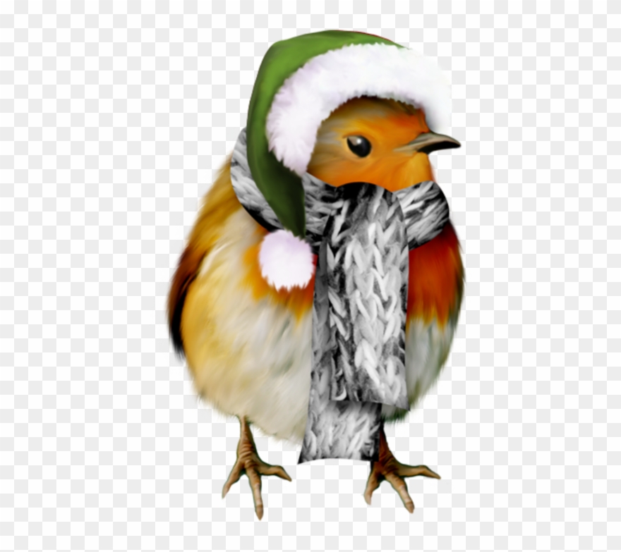 Robin In Winter Clip Art - Png Download