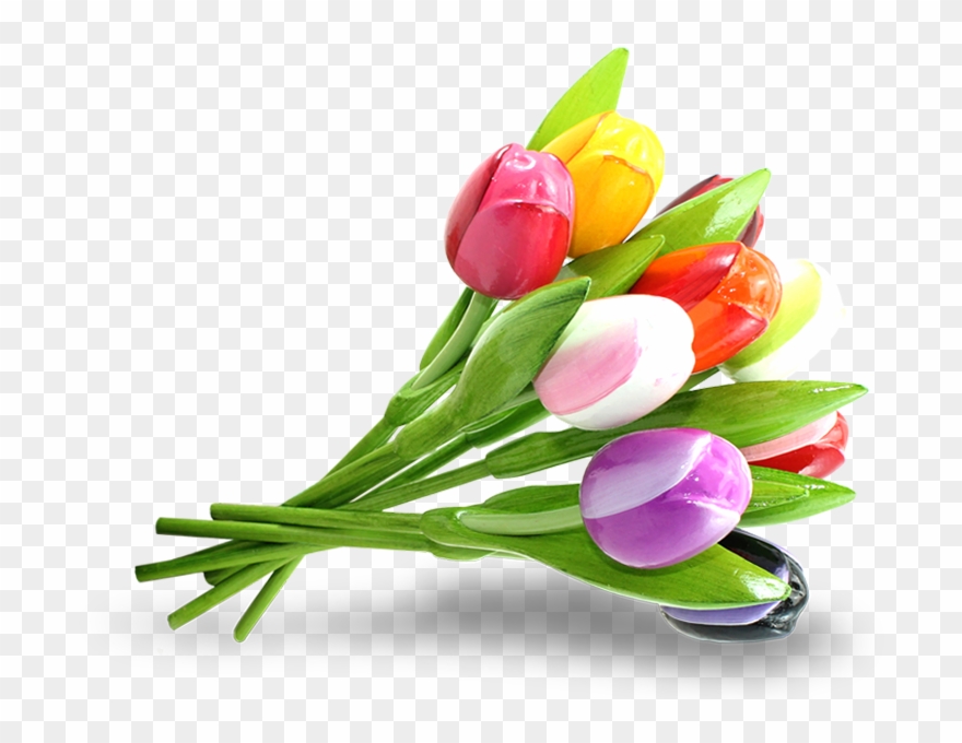 862 X 700 11 - Tulpen Transparent Clipart