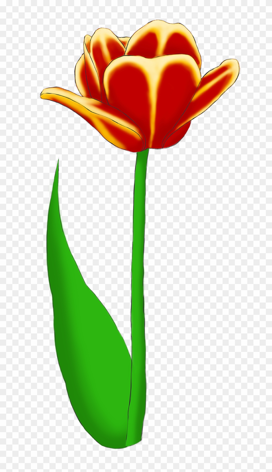 Tulip Bouquet Example Image - Lady Tulip Clipart