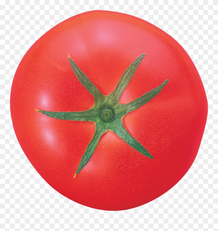 Tomato Png Clipart