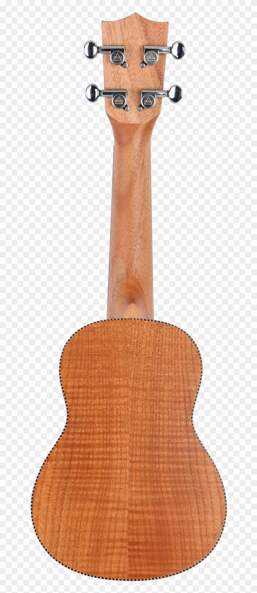 Bondi Tiger Oak Soprano Ukulele - Höfner Hc504 3 4 Clipart